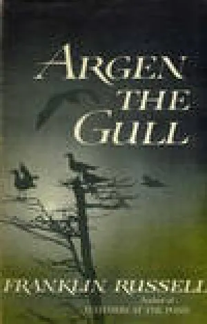 Argen the Gull