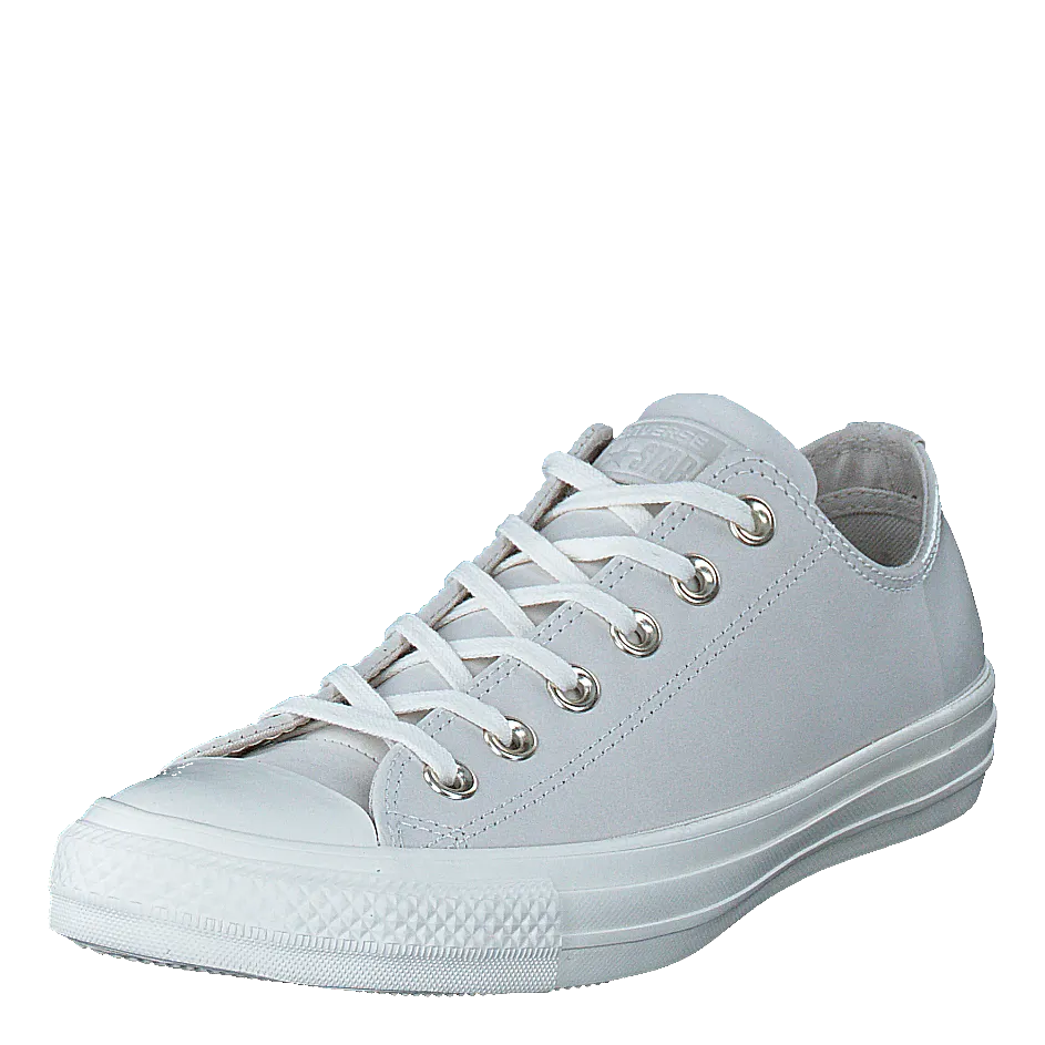 Chuck Taylor All Star Egret/egret/driftwood